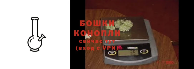 дживик Лихославль