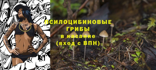 шишки Ладушкин