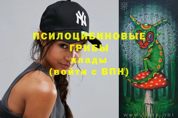 бошки Лабытнанги