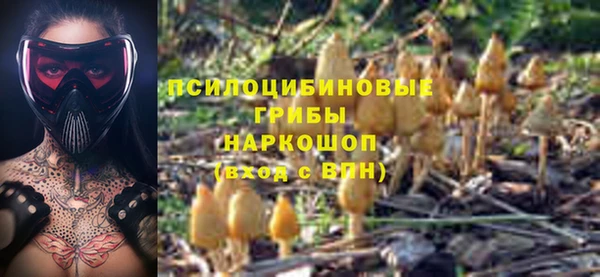 прущий лед Кулебаки