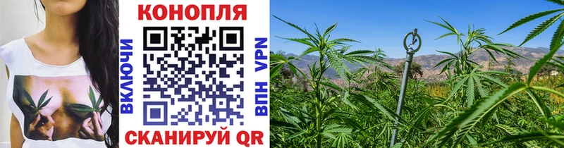 даркнет сайт  Терек  Канабис Bruce Banner 